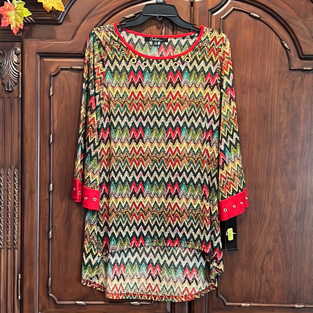 Beautiful fall color blouse, NWT